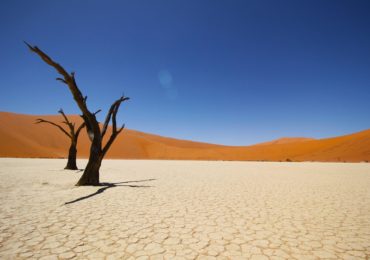 Namib Coastal Desert 4K Wallpaper