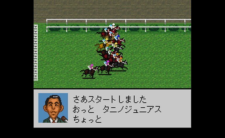Derby Stallion 96 Japan
