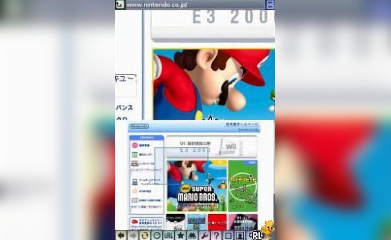 Nintendo DS Browser Japan