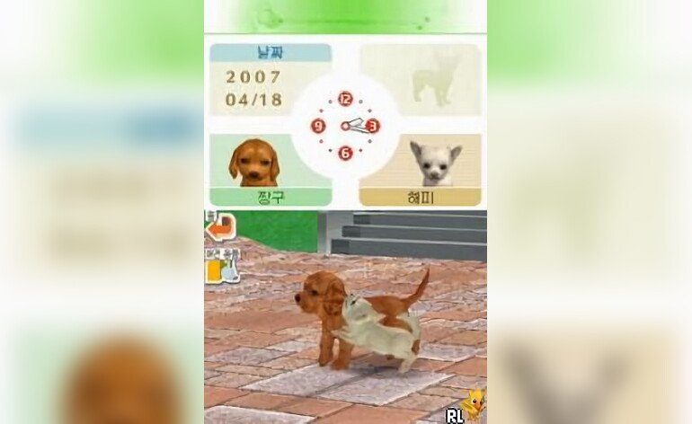 Nintendogs Chihuahua Chingudeul Korea
