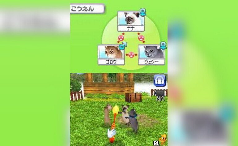 Play Petz - Catz - Koneko to Issho ni Tanoshiku Asobou (Japan