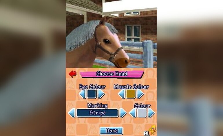 Play Pony Friends (USA) (Rev 1) • Nintendo DS GamePhD