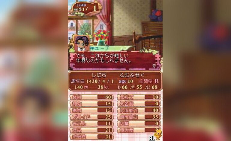 Princess Maker 4 Special Edition Japan