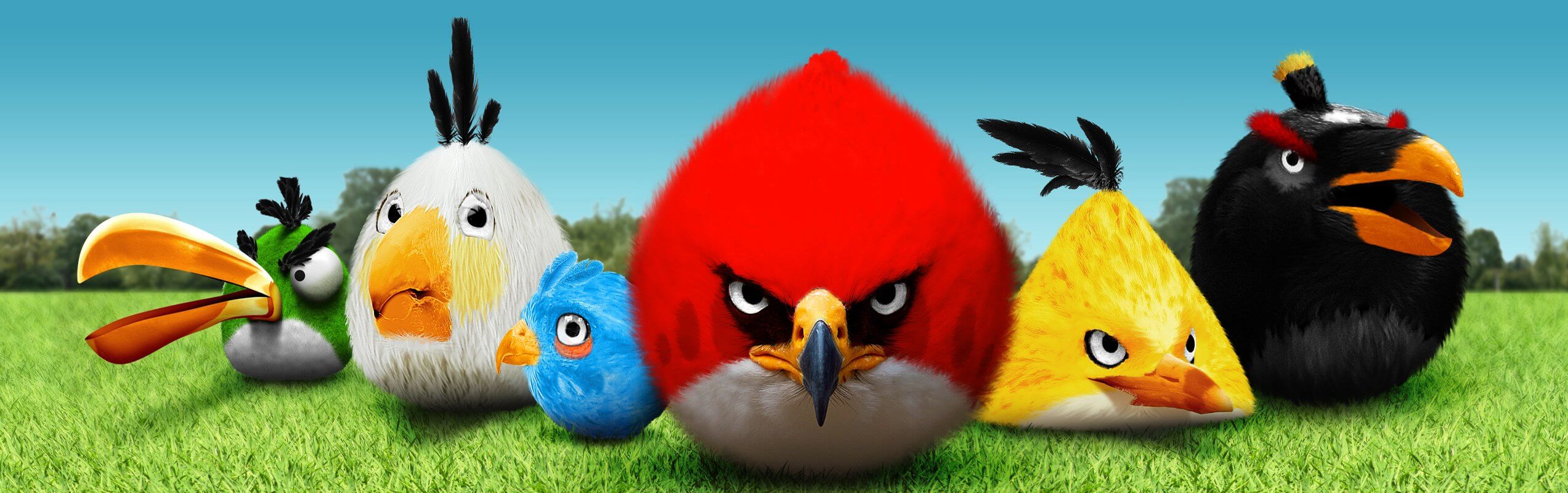 Angry Birds Real Life 4K Wallpaper • GamePhD