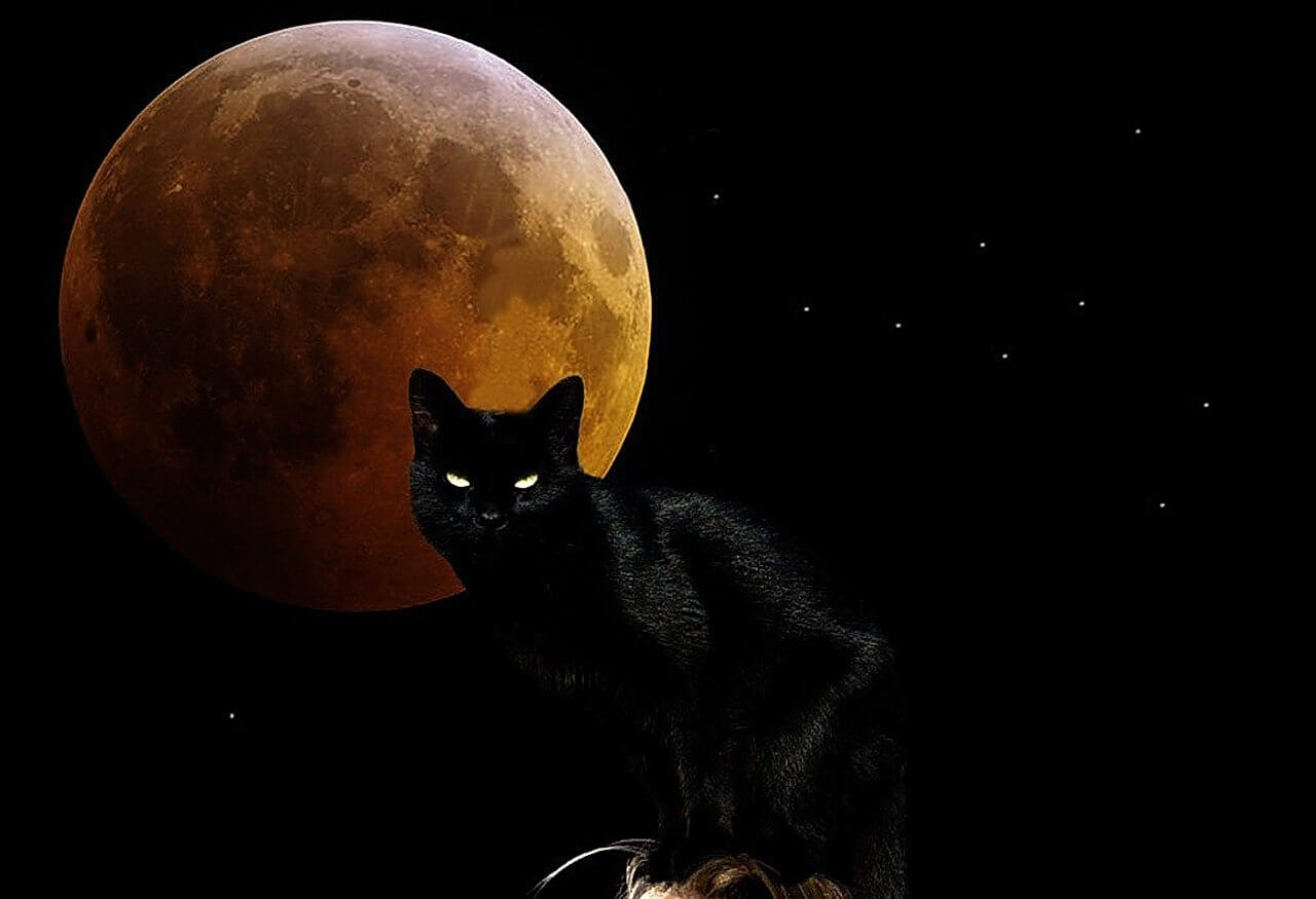 CGI Black Cat Full Moon Phone/Tablet Wallpaper • GamePhD