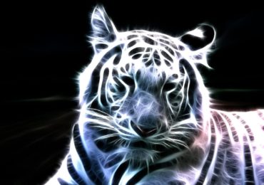 neon white tiger phone tablet wallpaper