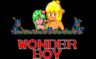 Play Wonder Boy (USA, Europe)