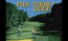Play PGA Tour Golf (USA) (v1.1)